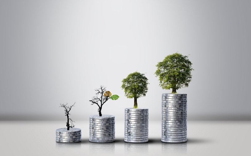 pile-of-coins-stacked-and-tree-growth